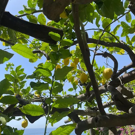 La Dolce A Boutique 4*