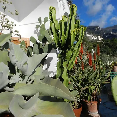 La Dolce A Boutique Maison d'hôtes 2*