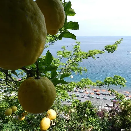 La Dolce A Boutique Gæstehus Positano